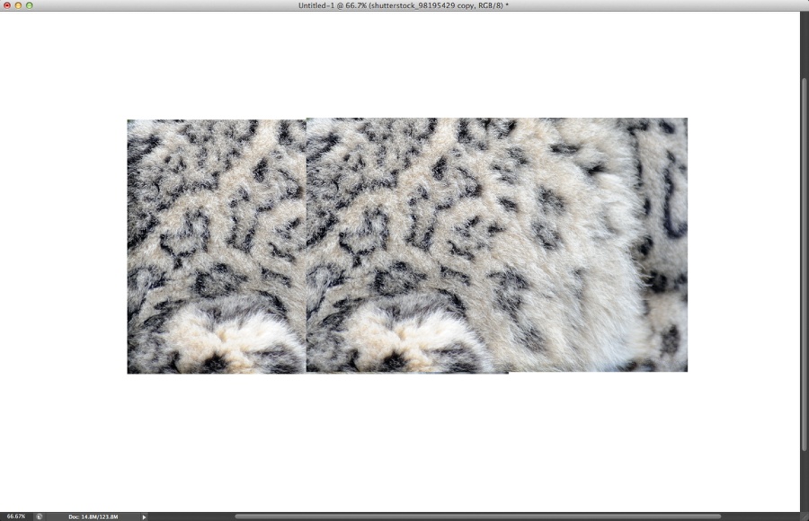 Texte facile à fourrure dans Photoshop