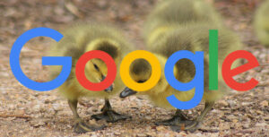 Les adresses IP uniques ne vous donnent pas un avantage de classement Google, répète Google