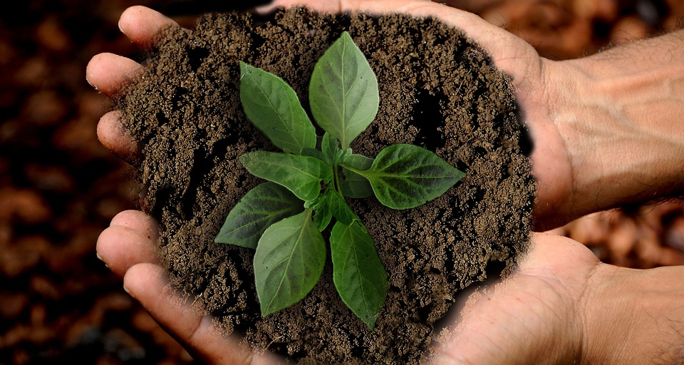 Des moyens passionnants de donner à votre marque une refonte éco-consciente