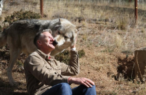 Quatre mythes sur les grosses mauvaises ventes