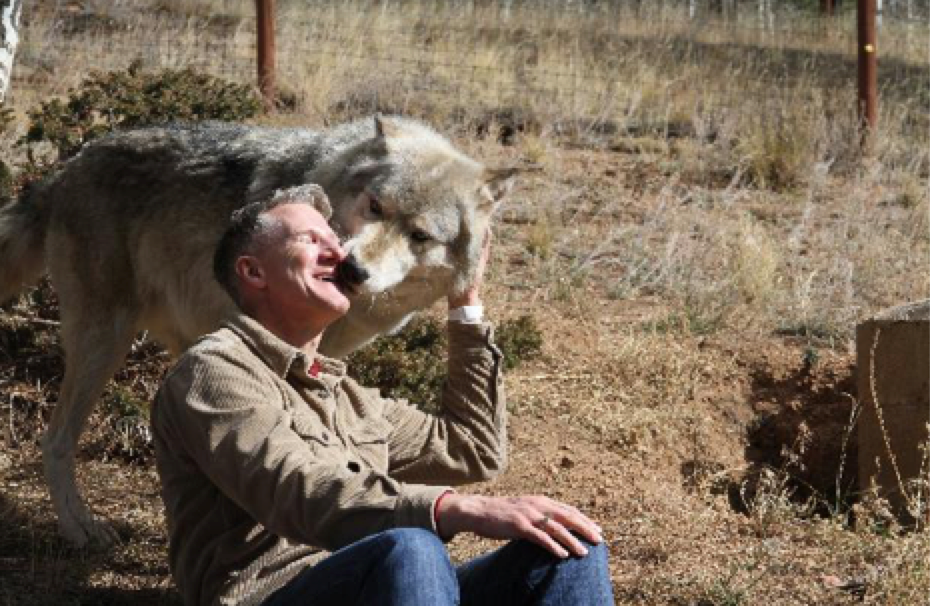 Quatre mythes sur les grosses mauvaises ventes