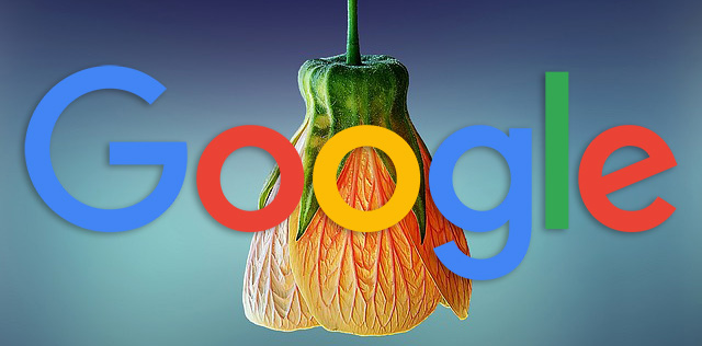 Google : laissez le texte alternatif vide pour les images décoratives, tout comme le W3C