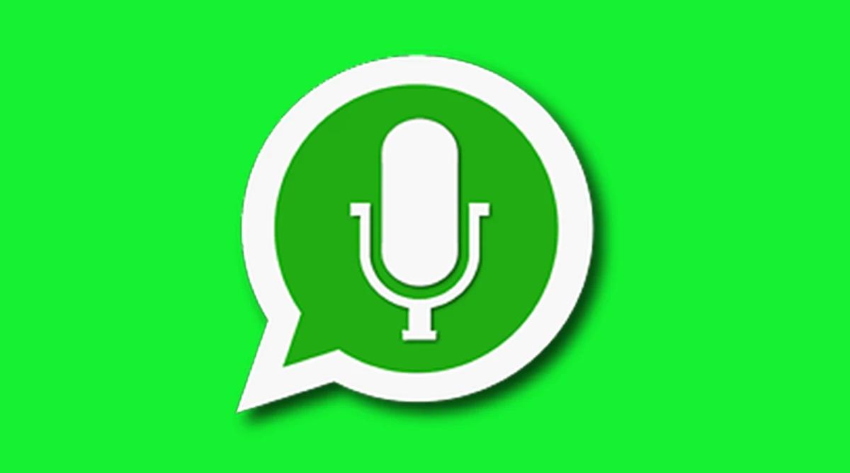 audio WhatsApp