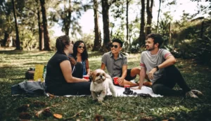 Les meilleures applications pour se faire des amis dans votre communauté