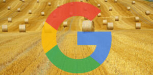 Google : travaillez sur les problèmes de référencement les plus importants avant les problèmes ponctuels