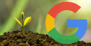 Google : déployer une mise à jour d&rsquo;algorithme, c&rsquo;est comme planter des graines dans un jardin