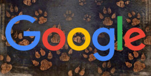 Google : Liens de crédit du site Nofollow Liens de pied de page si vous les contrôlez