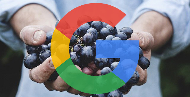 Raisins Google Cluster