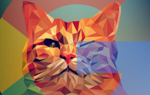 Gary Illyes de Google sur Noindex avec redirections