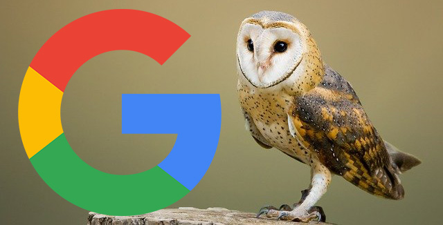 Hibou de Google