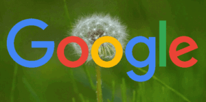 Les fluctuations du classement de recherche Google se poursuivent au cours du week-end dernier