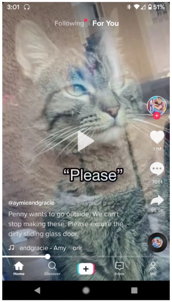 Aperçu de la vidéo TikTok