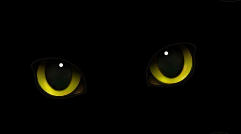 Oeil de chat