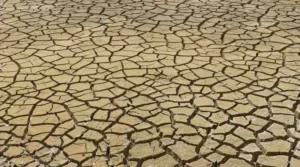 Facebook lance un centre d&rsquo;information sur le changement climatique