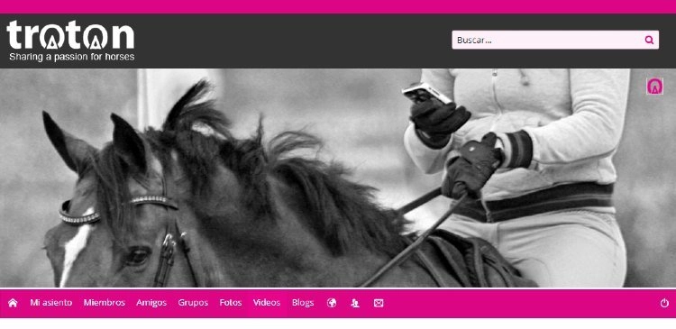 Réseau social pour les amoureux des chevaux