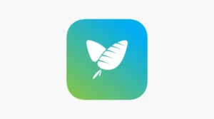 Veggly, une appli pour flirter entre végétariens