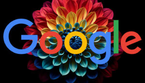 Google Search Console utilise des filtres Bloom pour des rapports plus rapides