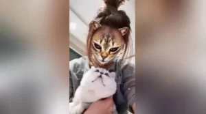 Le filtre qui transforme votre visage en chat déferle sur les réseaux sociaux