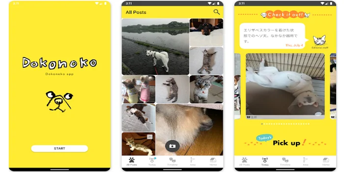 réseau social pour chiens