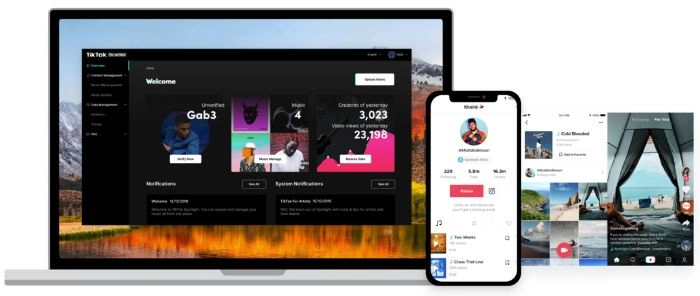 TikTok pour les artistes