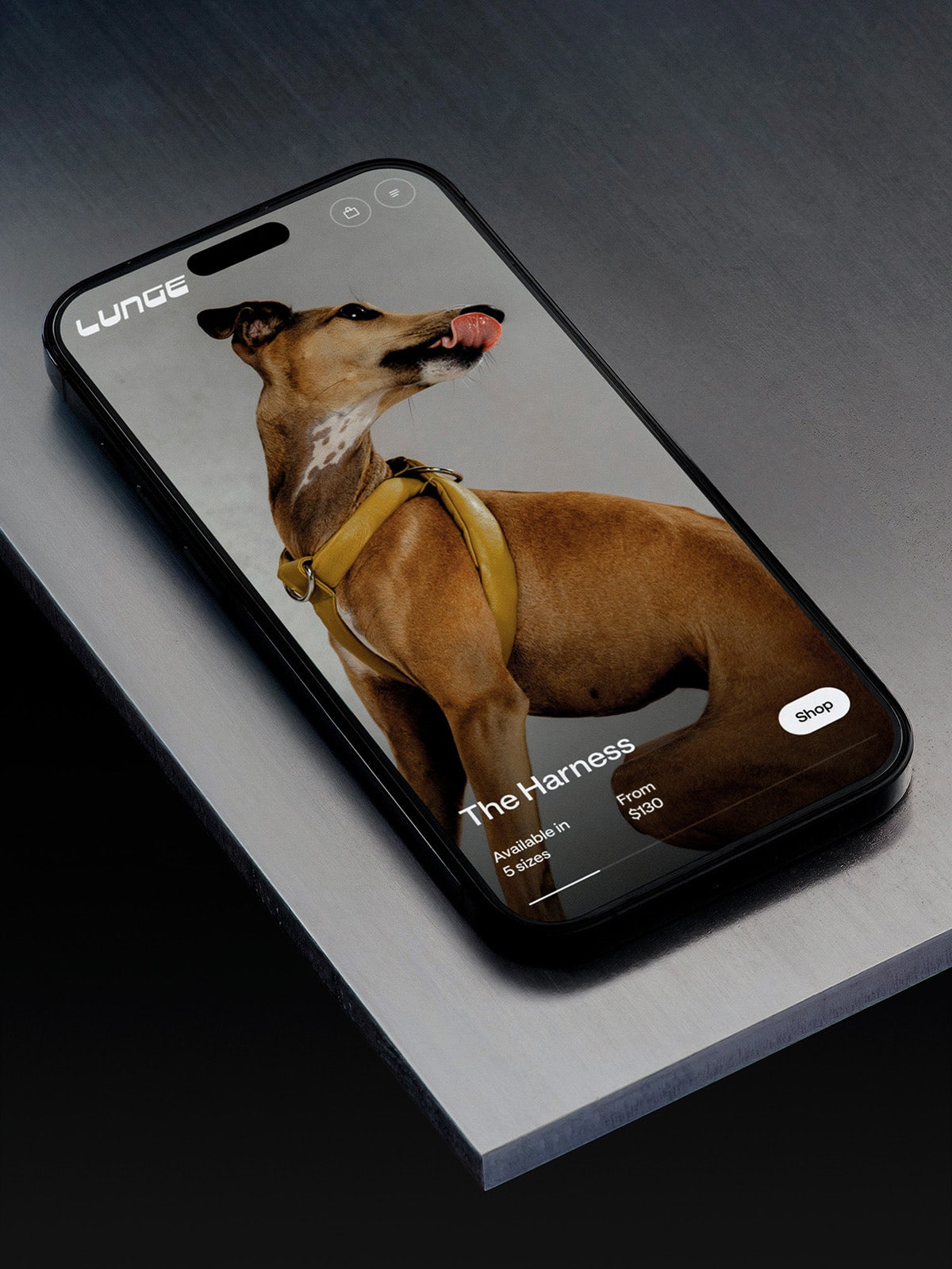 Image montrant l'identité de Lunge sur l'écran d'un téléphone