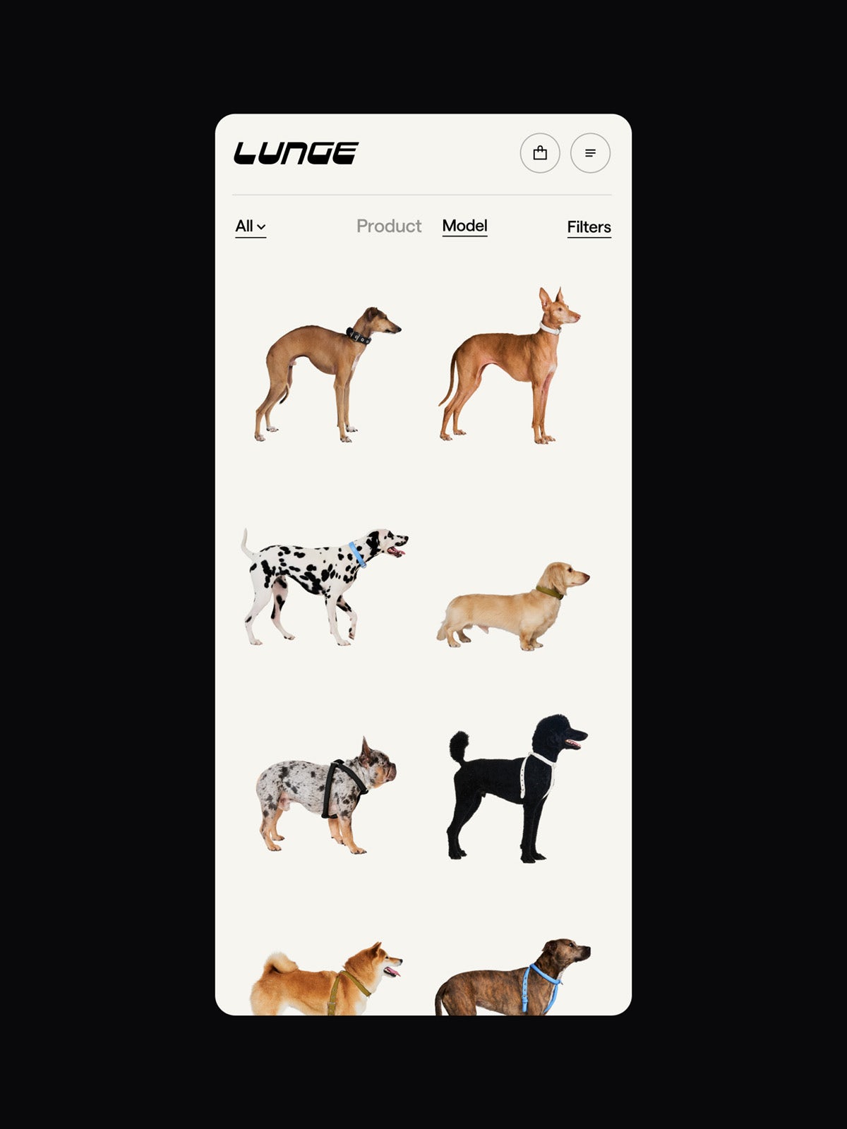 Image montrant l'identité de Lunge sur son site Web avec des images de chiens portant des accessoires pour animaux de compagnie