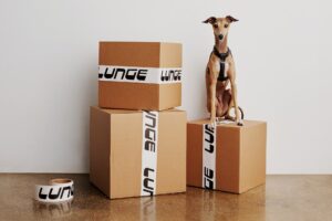 Une identité avant-gardiste pour la marque de luxe pour animaux de compagnie Lunge