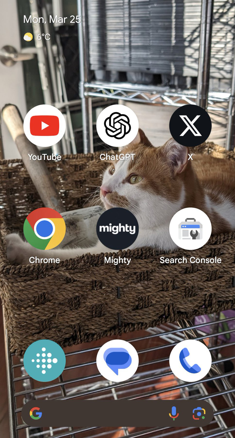 Application Android de la console de recherche Google