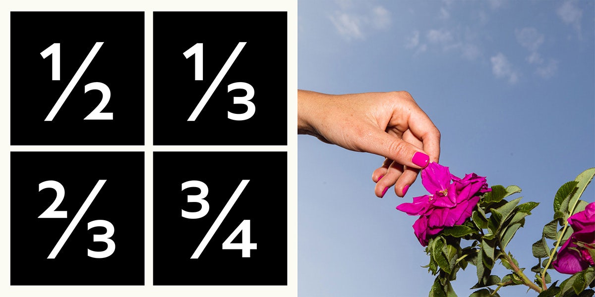 Des chiffres disposés dans la nouvelle police sans empattement de Fortnum & Mason à côté d'une photo d'une main touchant une fleur rose