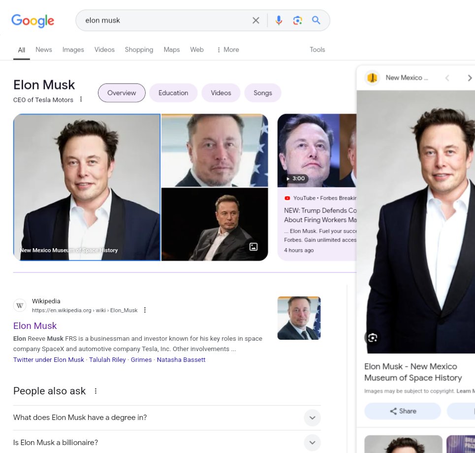 Panneau de connaissances Google Rounded Outline