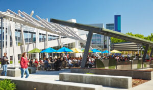 Google met à jour les documents de recherche de balisage d'organisation pour clarifier le logo et d'autres utilisations