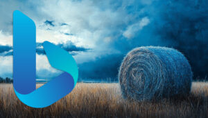 Bing recommande de ne pas utiliser le mode batch pour IndexNow