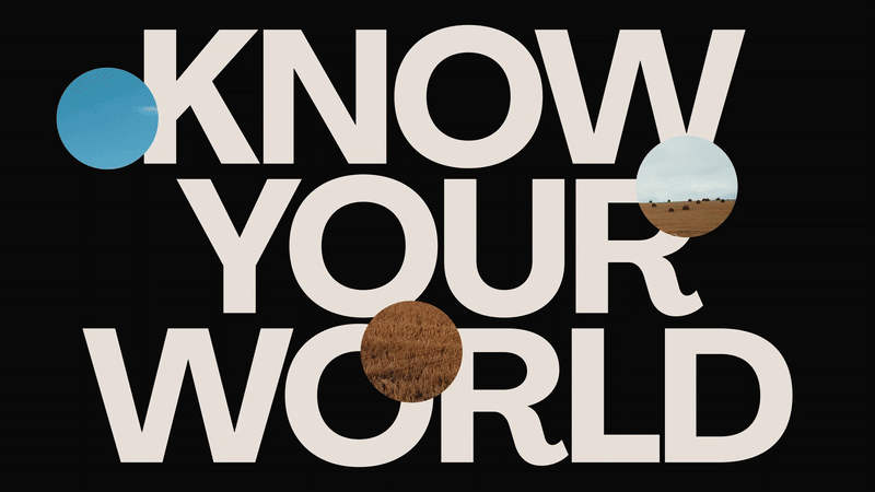 Le changement de nom jaune acide de la plateforme agritech Mergdata par NB Studio