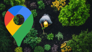 Épingles Google Map sur les entreprises de la zone de service – Un bug ?