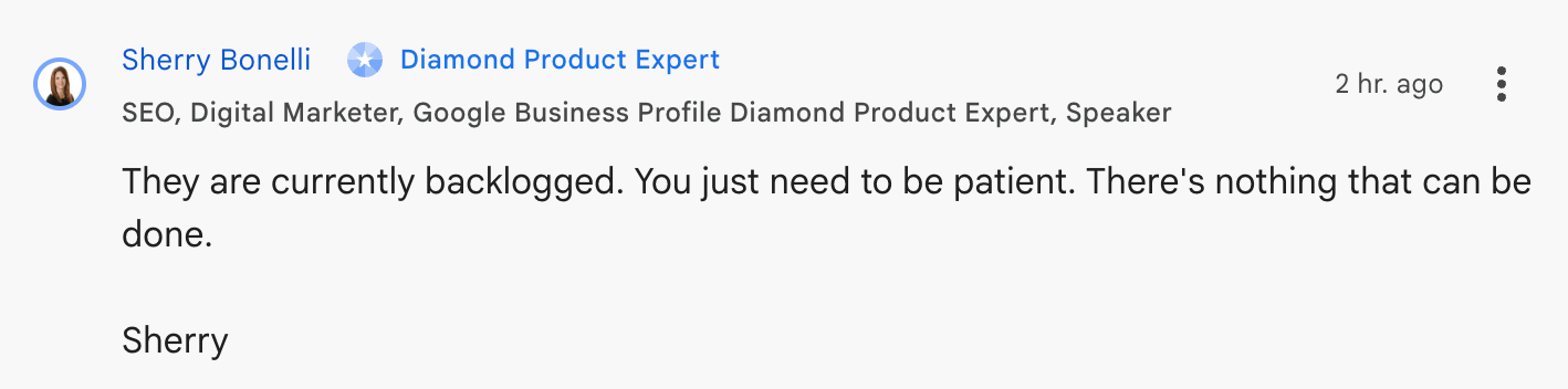 Google Business Profiles Support retardé