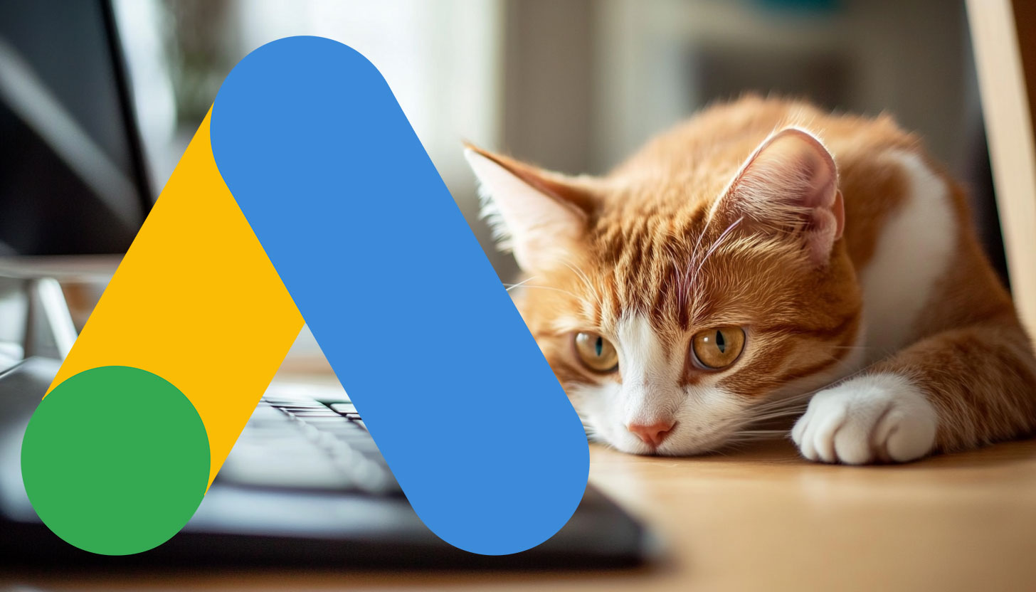 Google Ads Cat Screen