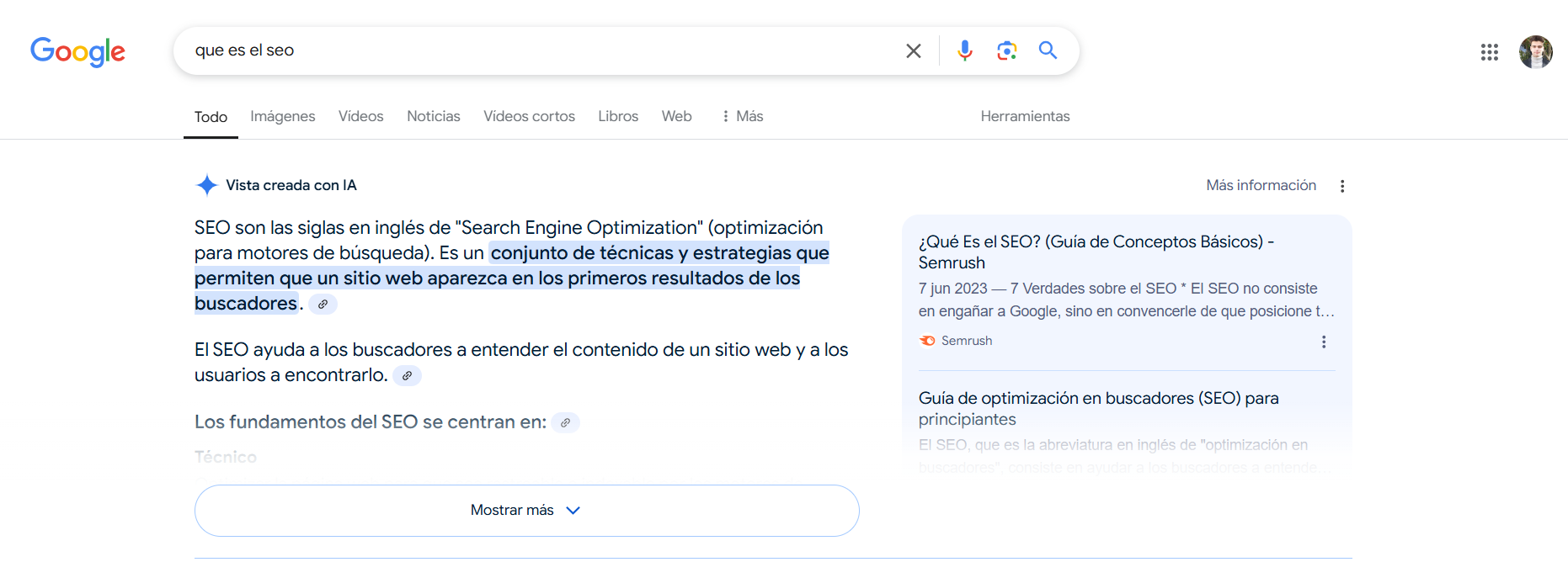 Google AIO Espagne