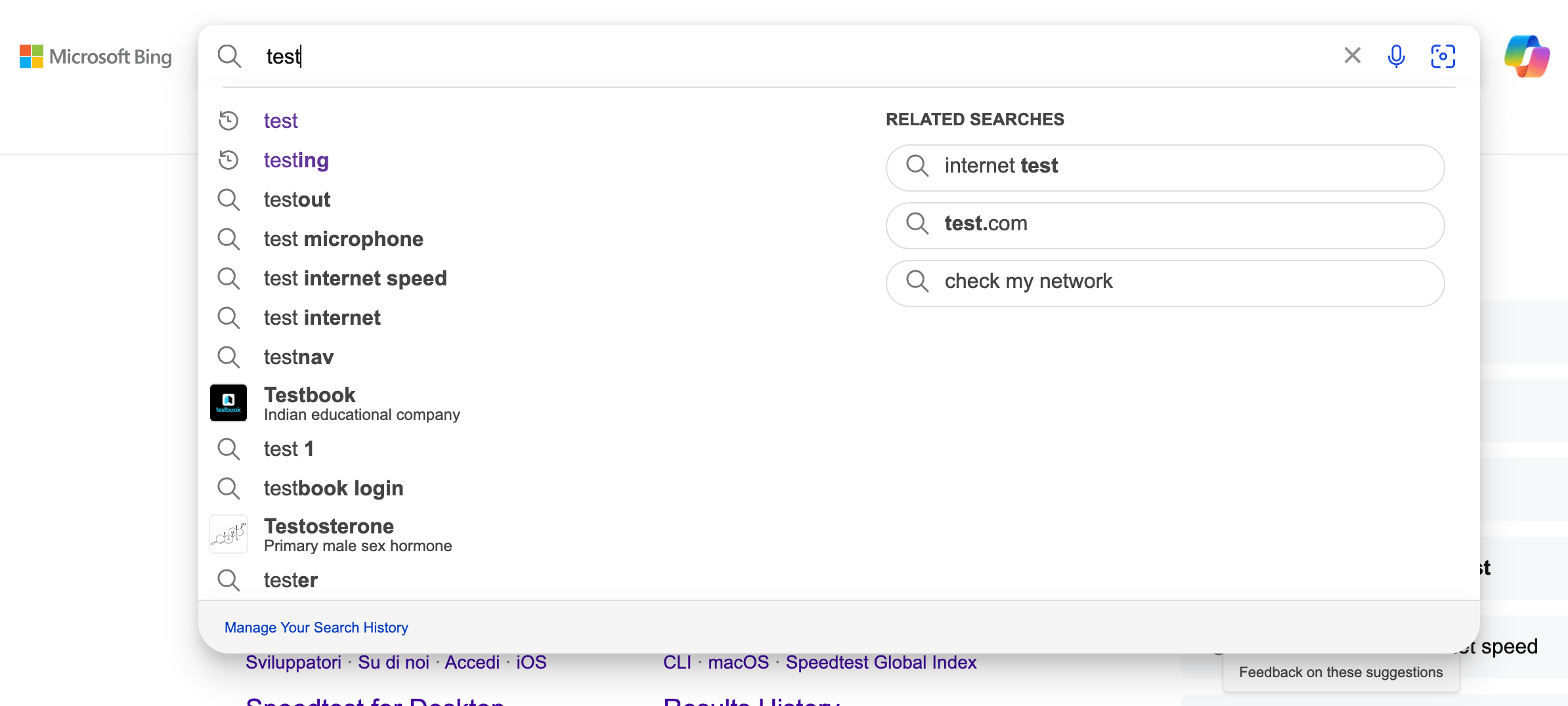 Bing Recherche Box Normal