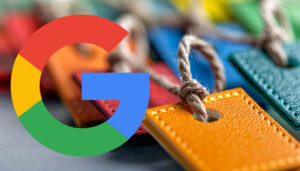 Tests sur les aperçus de Google AI Tests de la requête