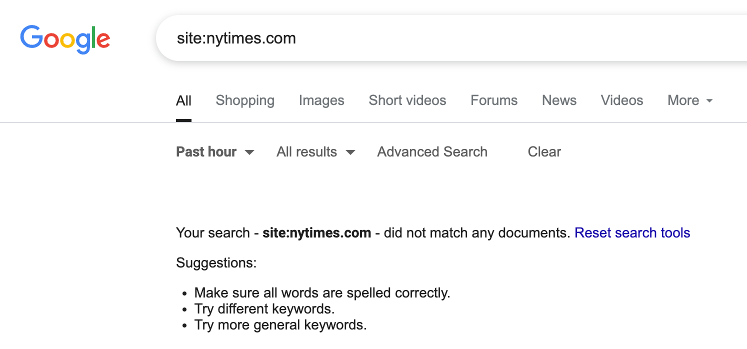 Google Serving Bug NYT