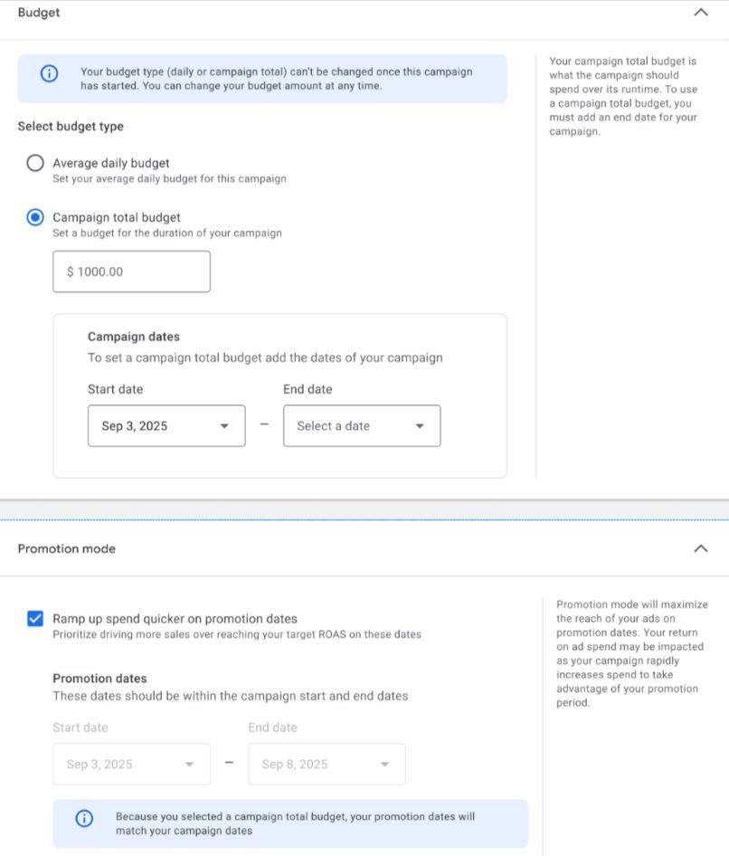 Google Ads Promotion Mode Campagne Total Budgets