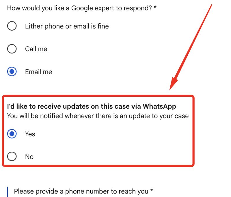 Notifications WhatsApp Google Ads