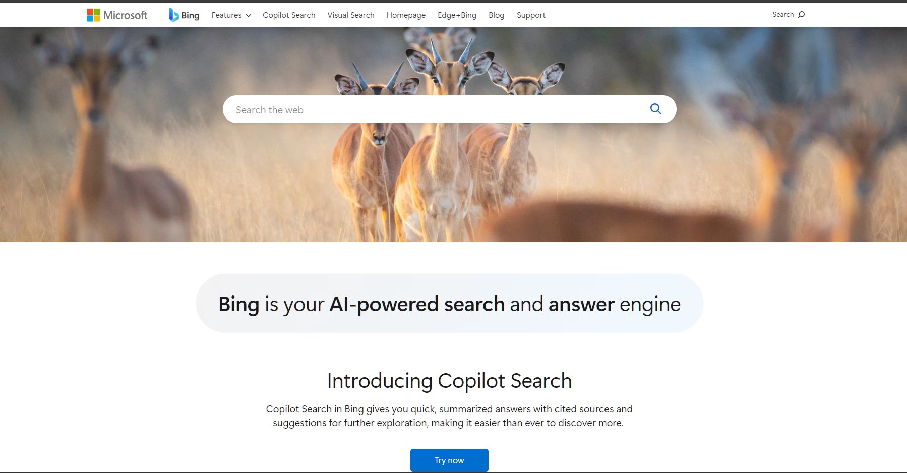 Nouvelle page d’accueil de Bing
