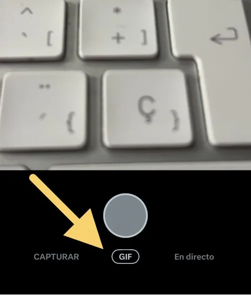 sélecteur de gif twitter