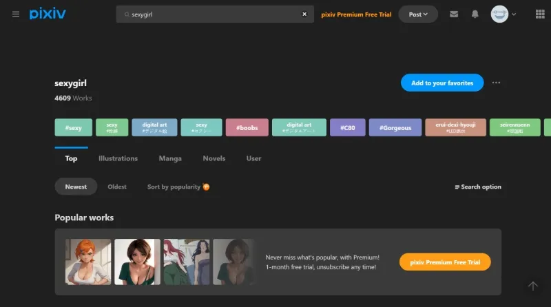 pixiv.net comme alternative à Tumblr pour afficher du contenu sexuel