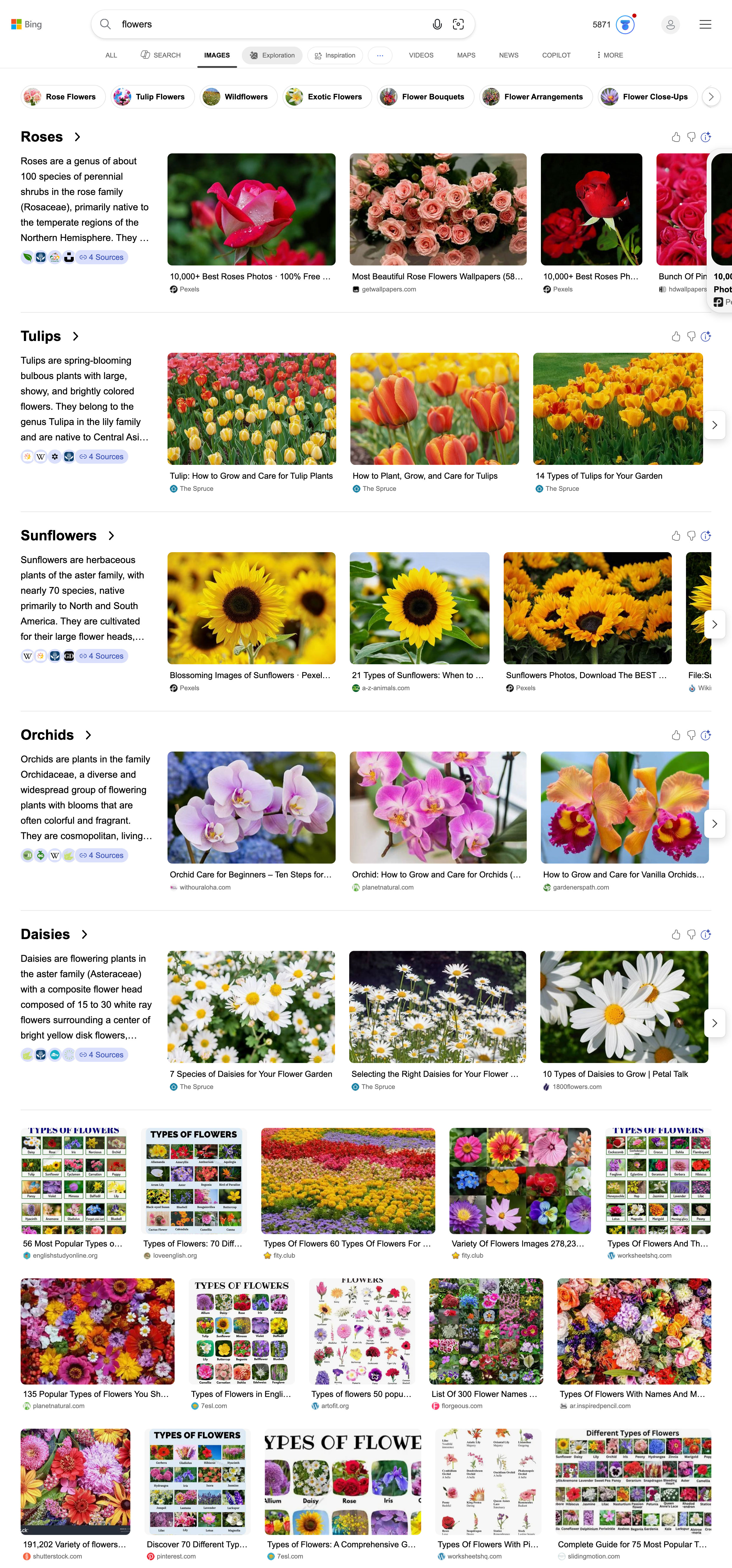 Nouvelles images Bing