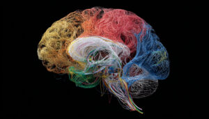 Panneaux de connaissances Google avec déploiement de sections d'éléments de tableau colorés