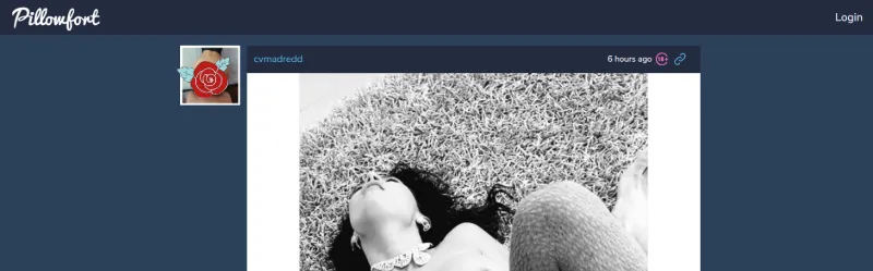 Pillowfort Social comme bascule vers Tumblr pour afficher du contenu sexuel