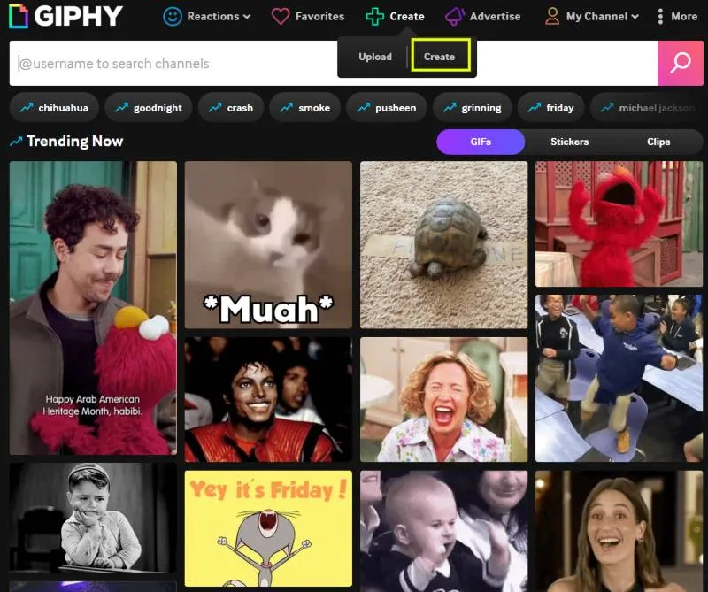 giphy.com