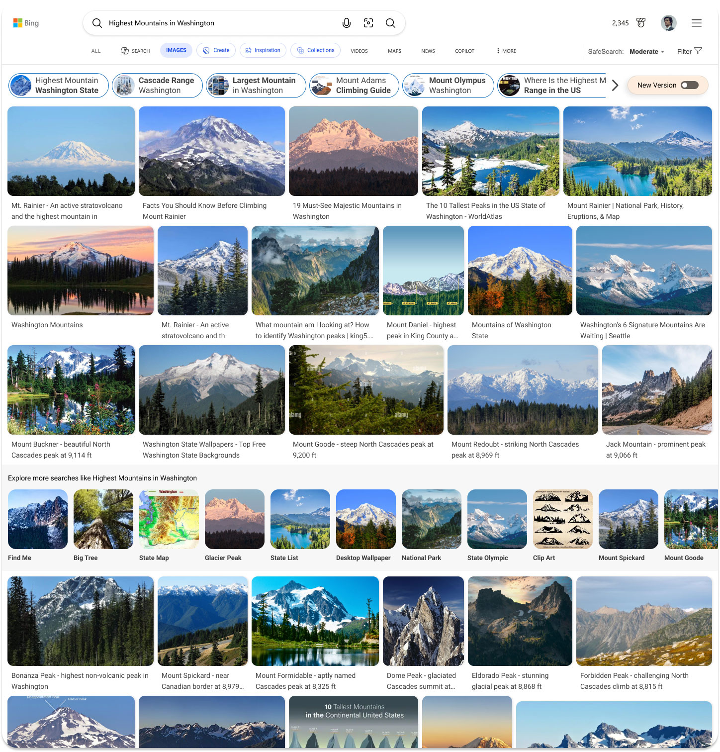Résultats de la norme d’image Bing